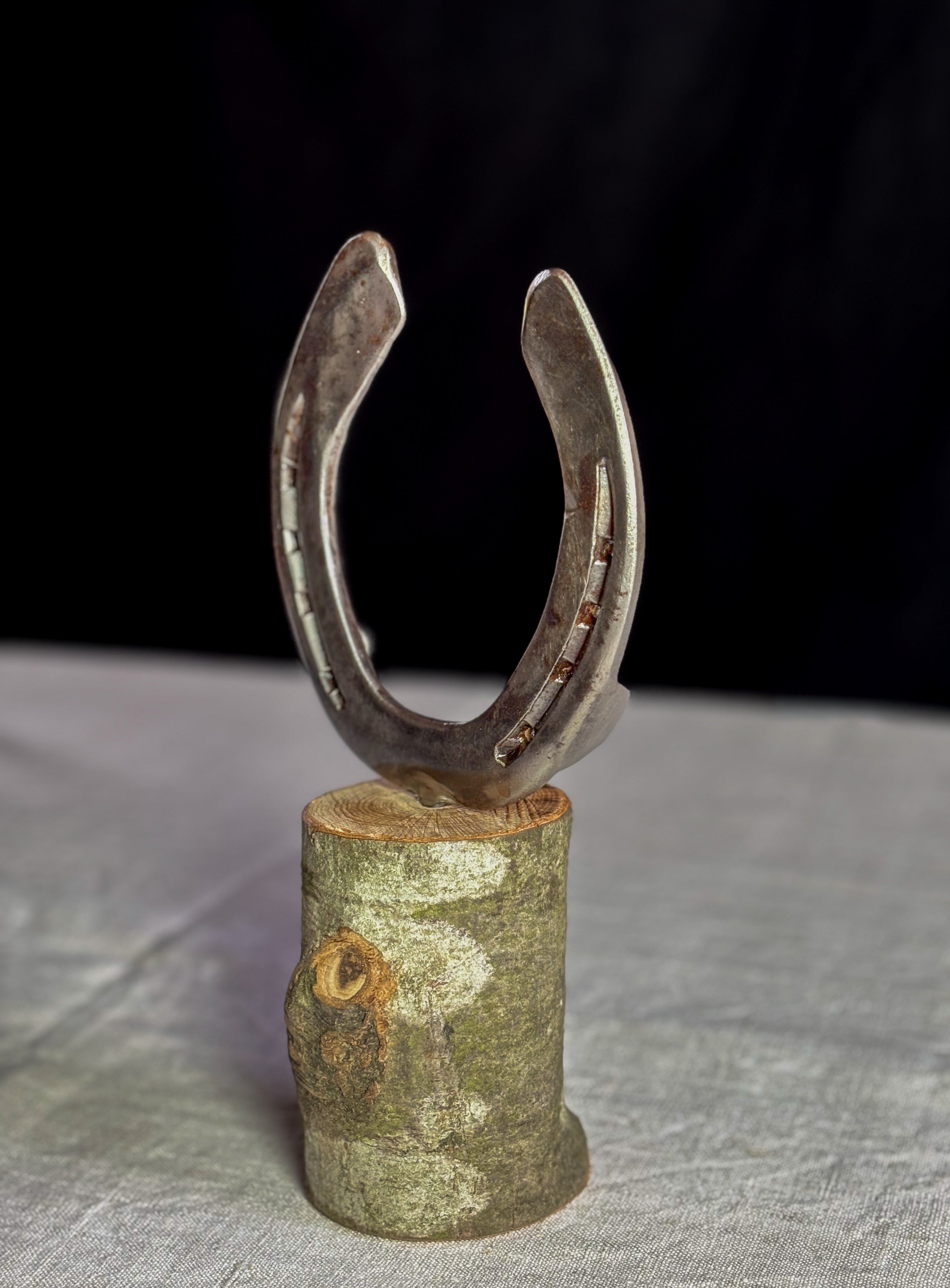 Glücksbringer Hufeisen auf Holz