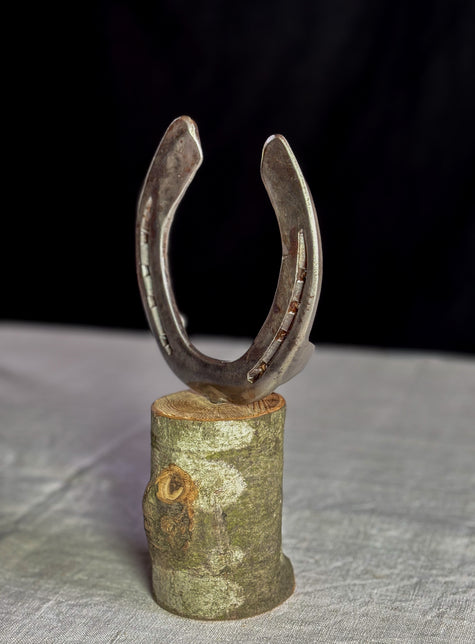 Glücksbringer Hufeisen auf Holz